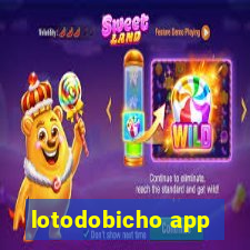 lotodobicho app